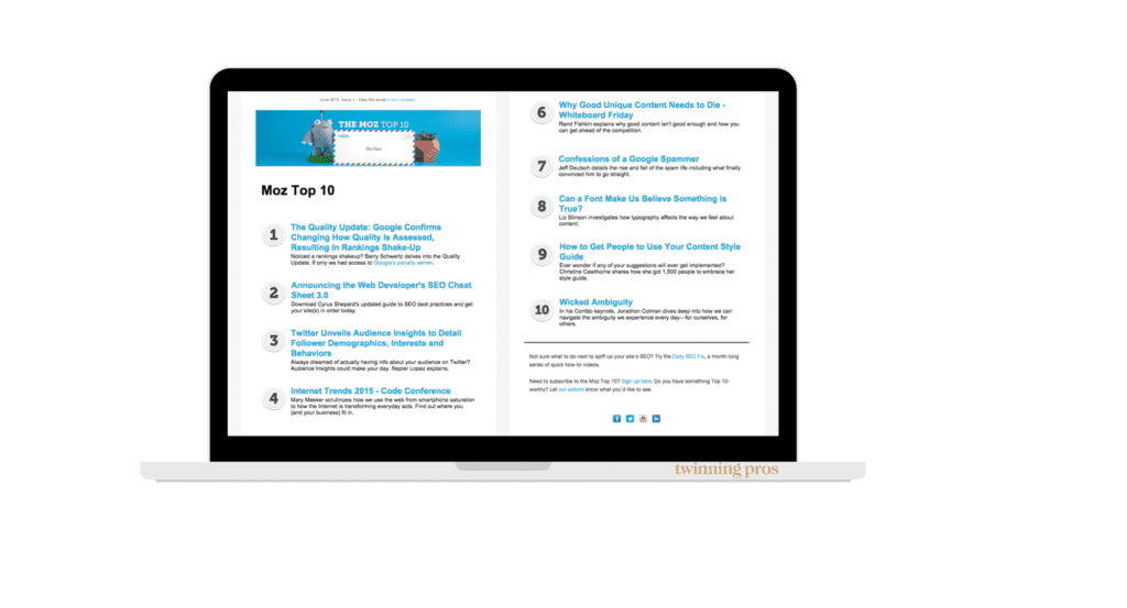 How to Use Email Newsletters to Build Long-Term Customer Relationships - Twinning Pros